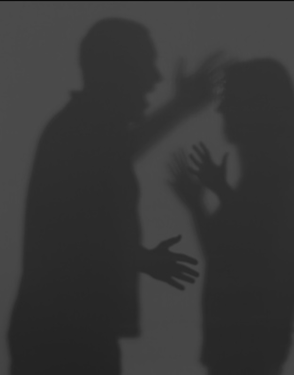 Domestic Violence Defense